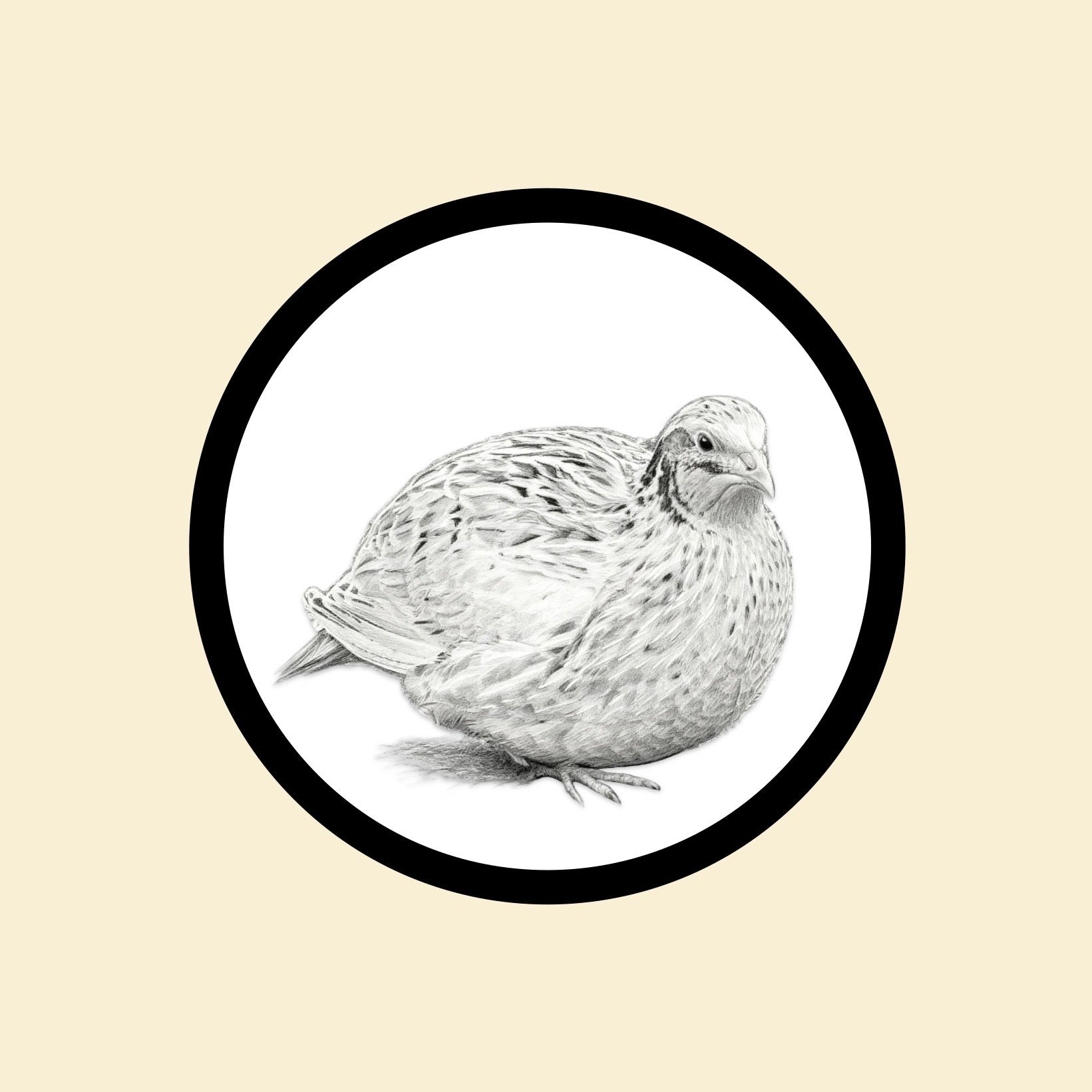 The Coturnix Collection