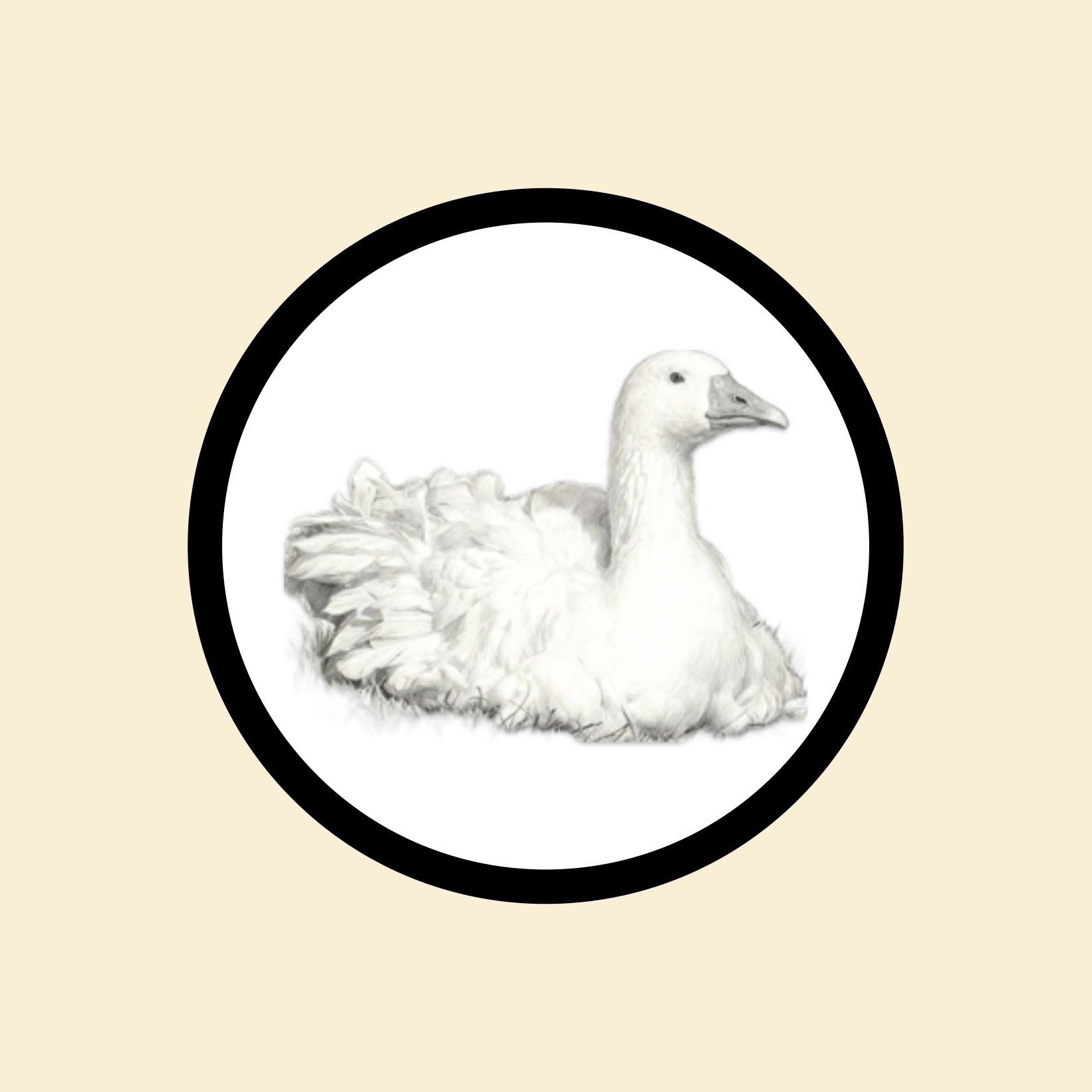 The Sebastopol Collection