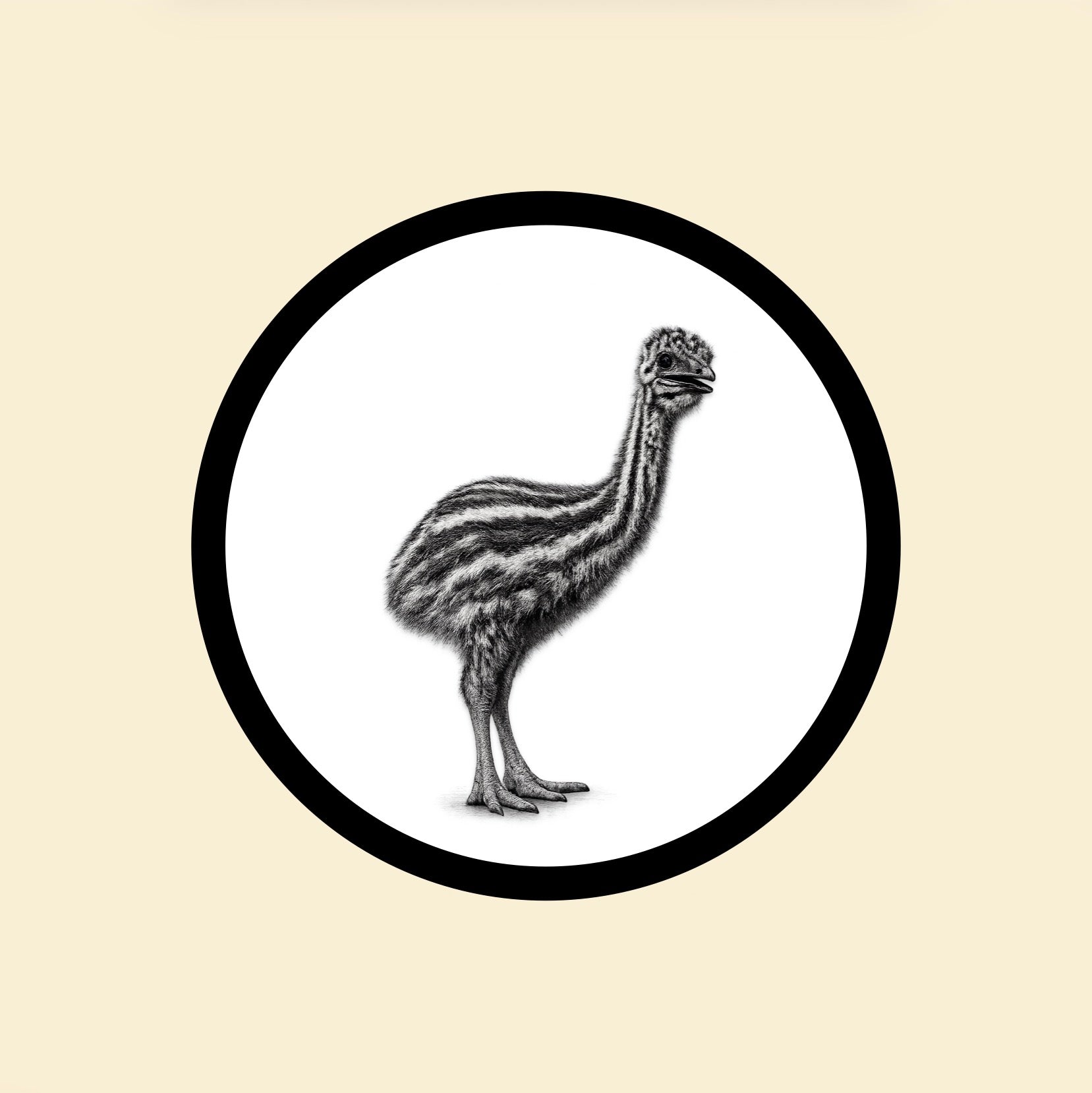 The Emu Collection