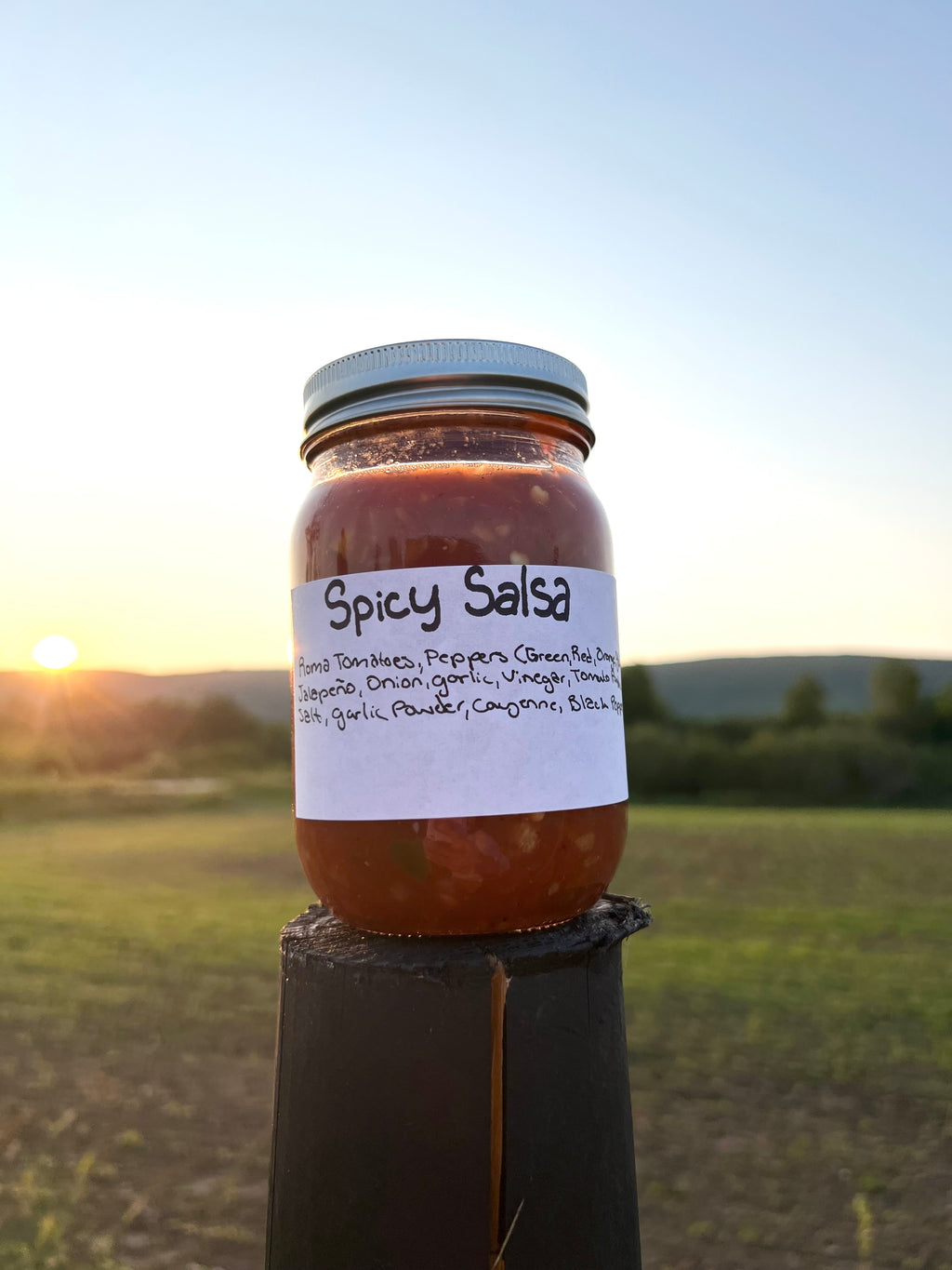 Spicy Salsa